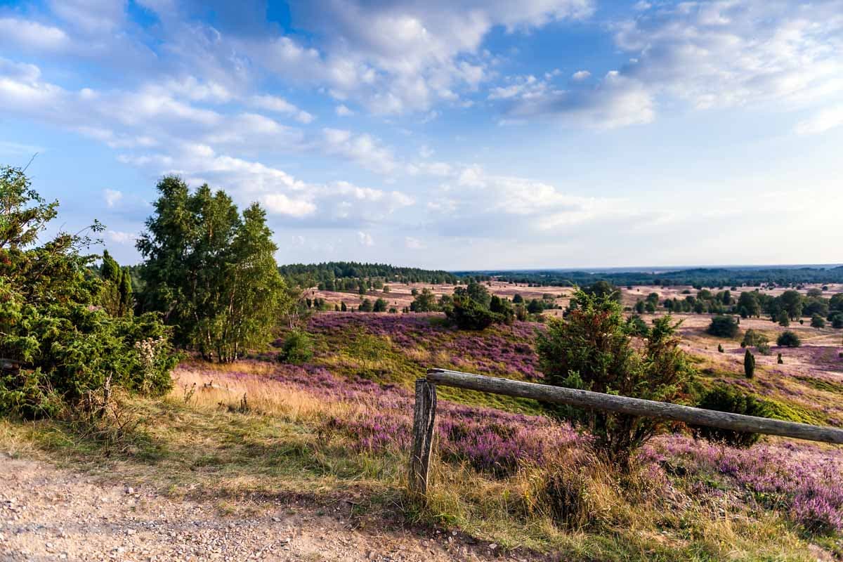 Übernachten während der Heideblüte in der Lüneburger Heide
