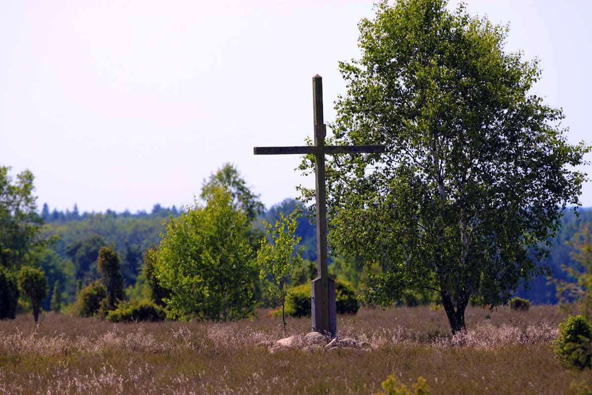 Lueneburger heide Sehenswuerdigkeit