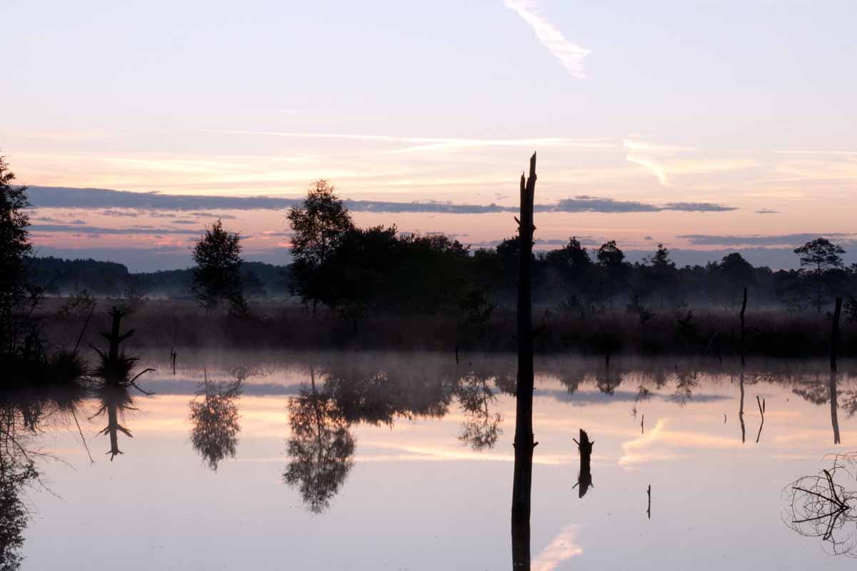 Lueneburger heide Sehenswuerdigkeit