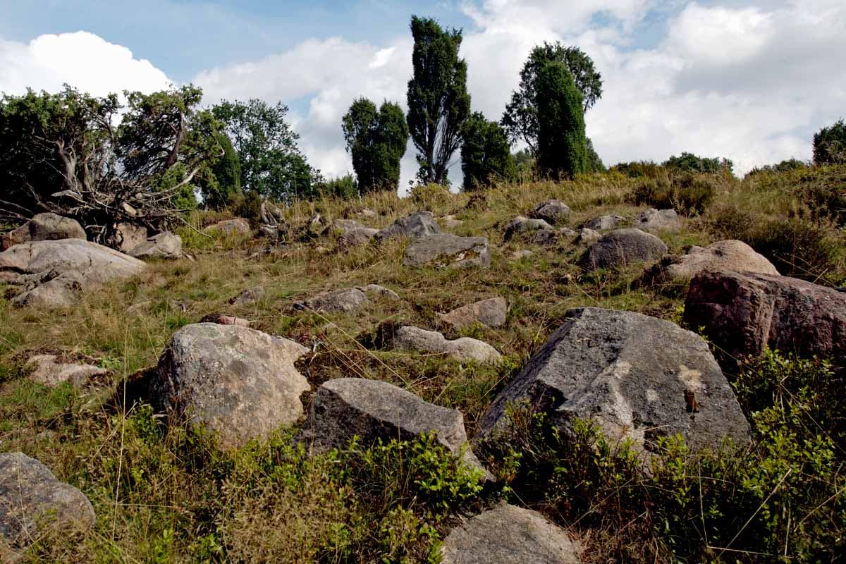 Lueneburger heide Sehenswuerdigkeit