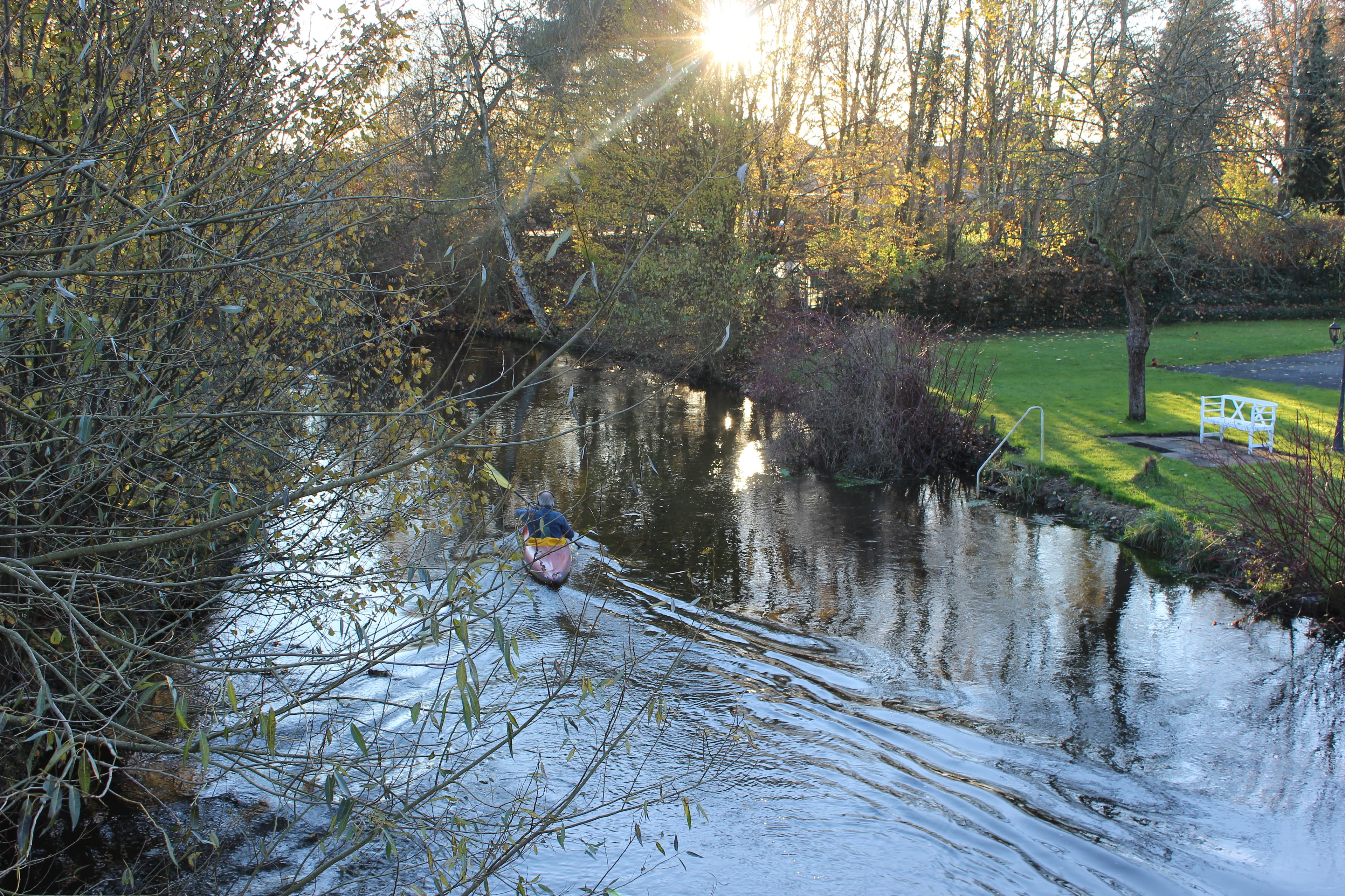 Waldbaden entlang der Ilmenau