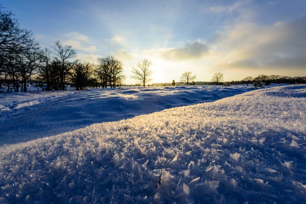 Winter in der Lüneburger Heide