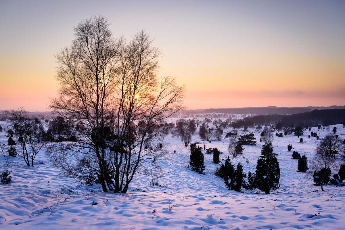 Winter in der Lüneburger Heide