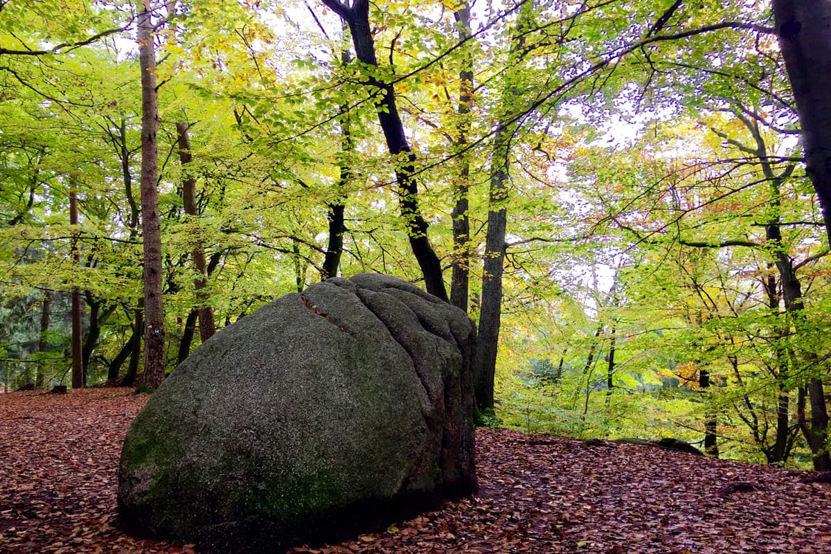 Der Karlstein am Heidschnuckenweg auf der ersten Etappe ist sagenumwogen. So sieht man einen Abdruck auf dem Stein, der von Karl dem großen dort verwegit sein soll. Beweise dafür gibt es jedoch nicht.