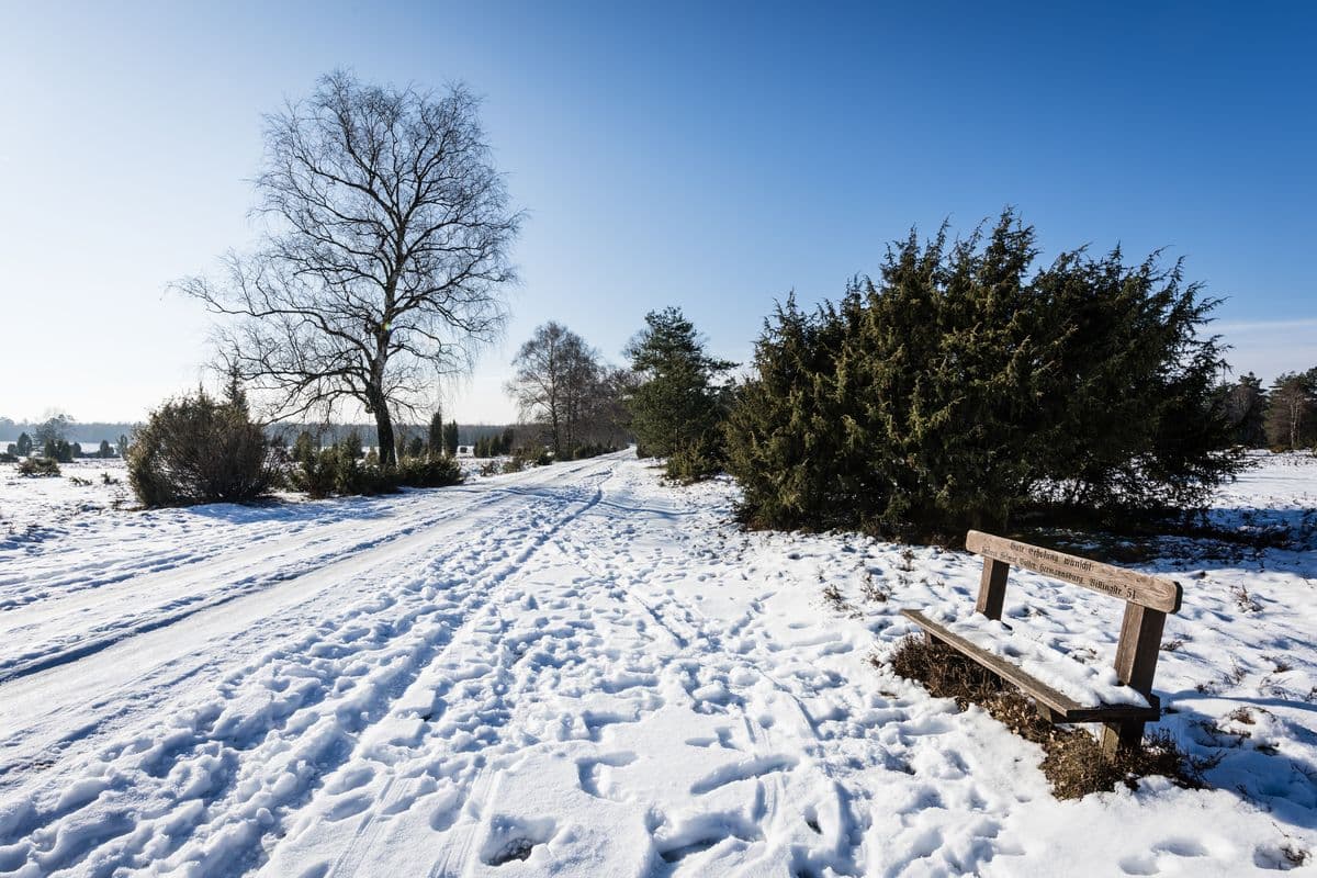 misselhorner heide, hermannsburg, naturpark südheide winter schnee winterwandern
