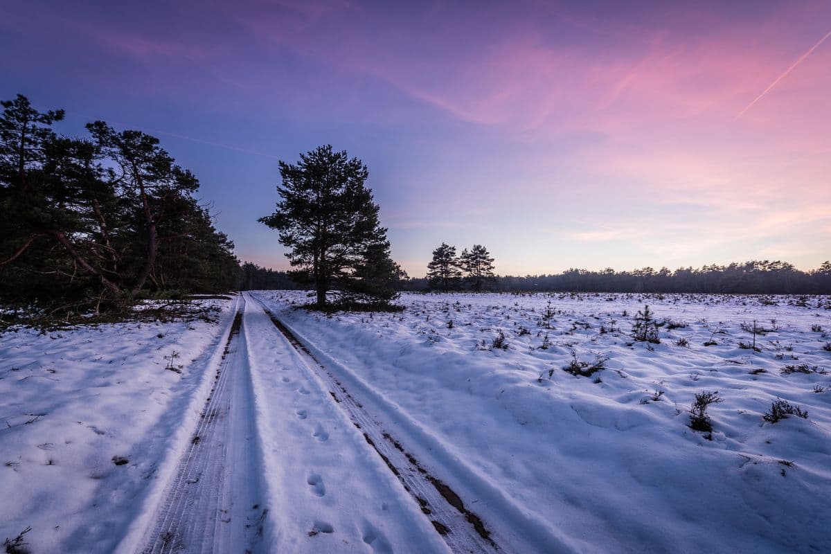 Sonnenuntergang in der Winterheide