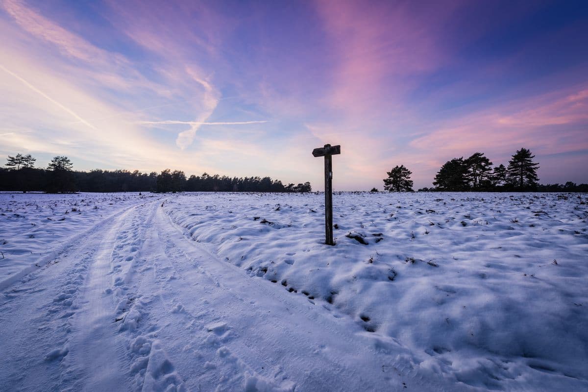 Der schneebedeckte Heidschnuckenweg