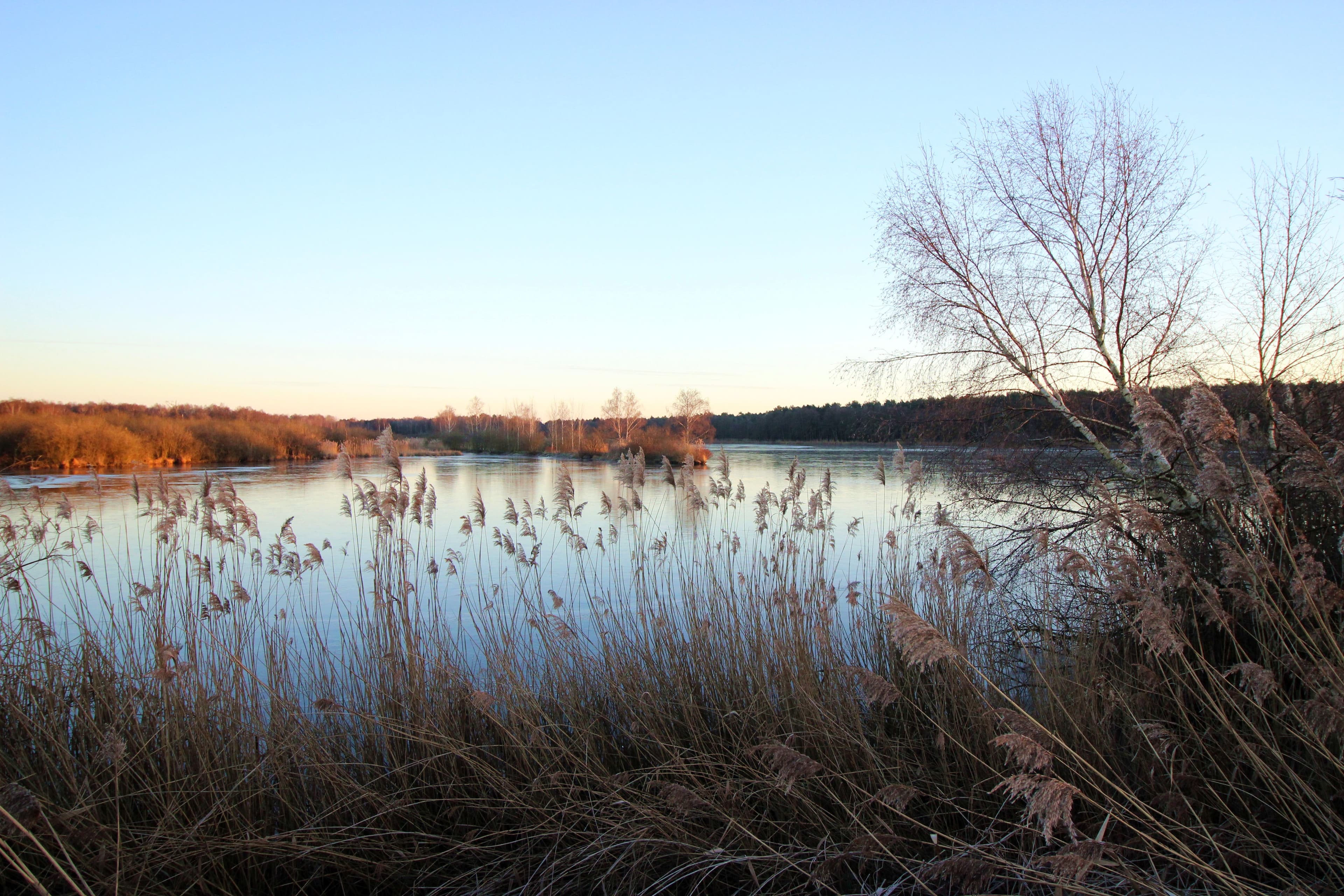 Meißendorfer Teiche, Huettenseepark, Suedheide