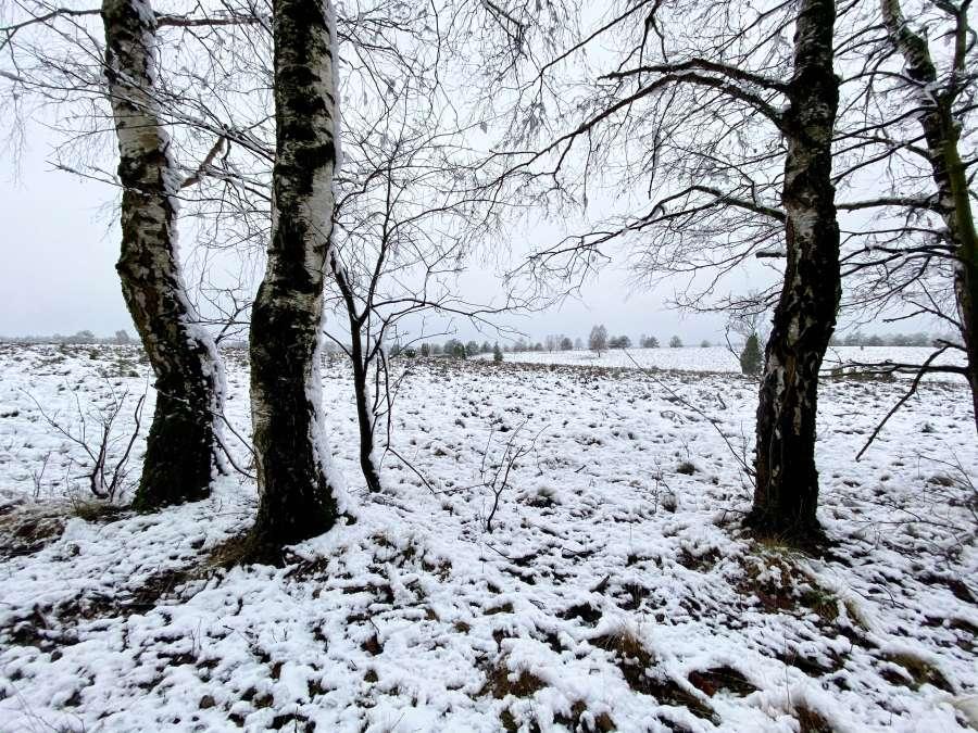 Winter in der Oberoher Heide