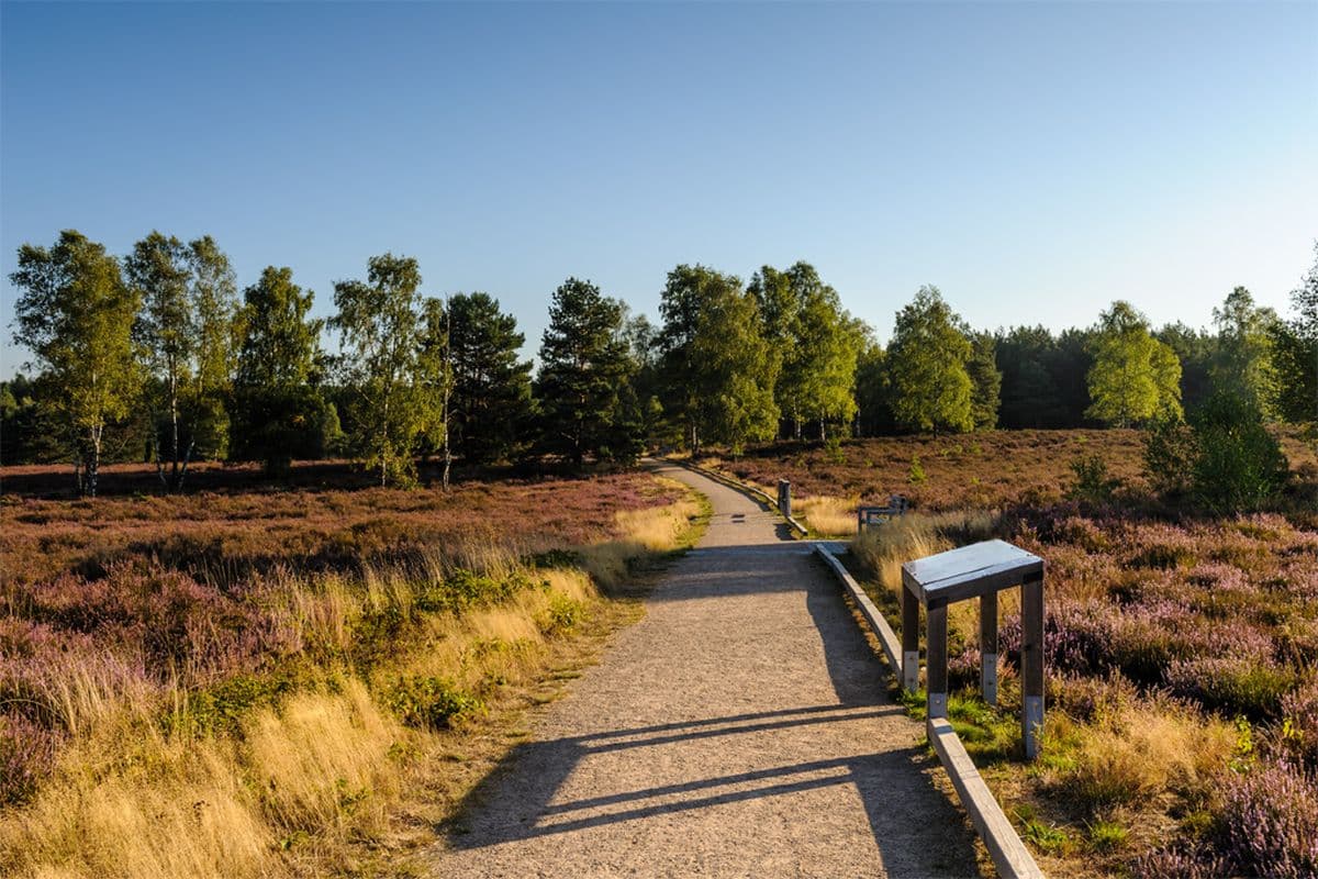 barrierefreier Wanderweg am Angelbecksteich