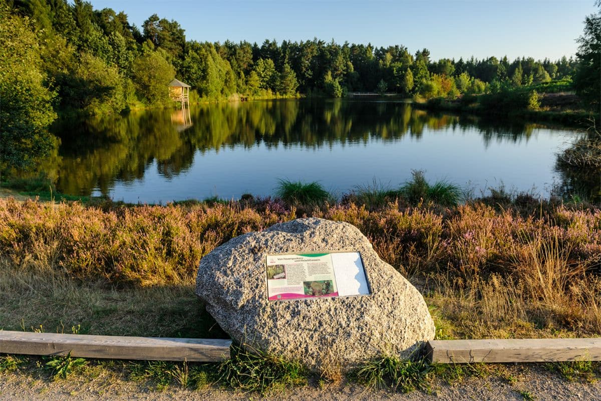 Infotafel im Findling am Angelbecks Teich