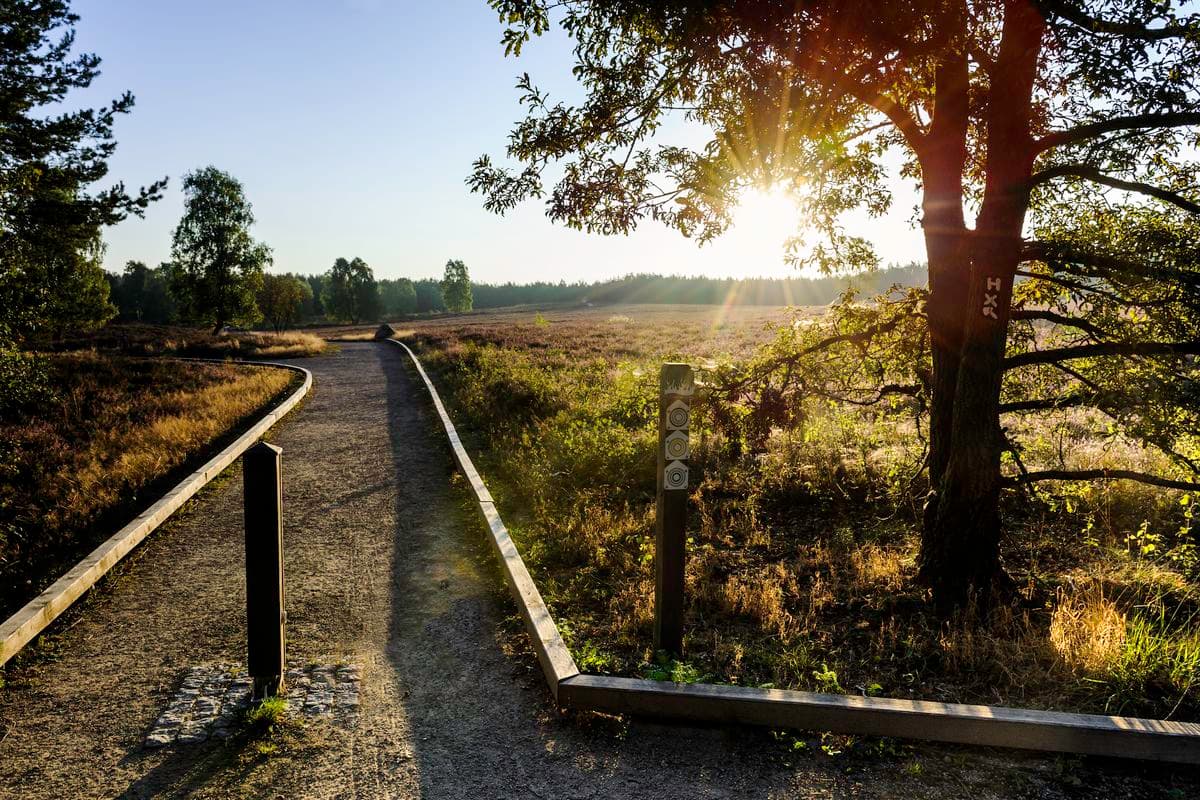 der barrierefreie Weg um Angelbecks Teich wird sehr gern angenommen