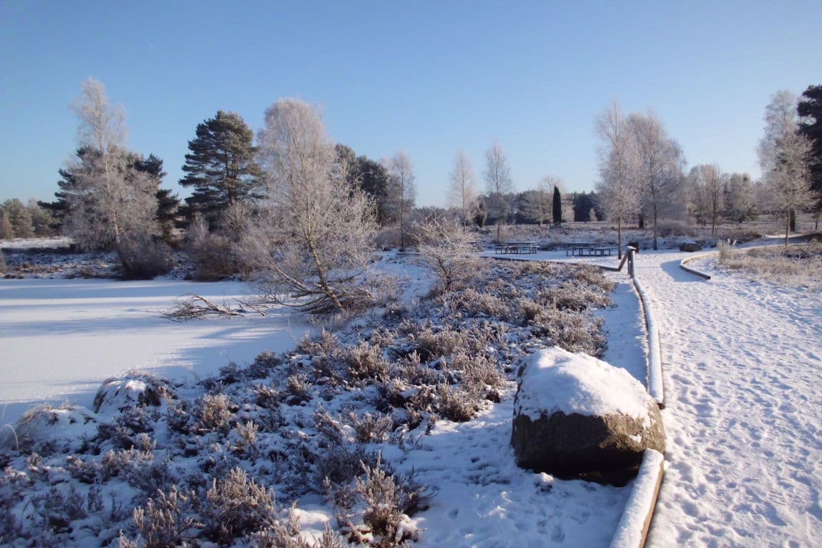 Herrlich, ein Spaziergang in winterliche Ruhe an Angelbecks Teich