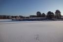 Schnee auf Angelbecks Teich