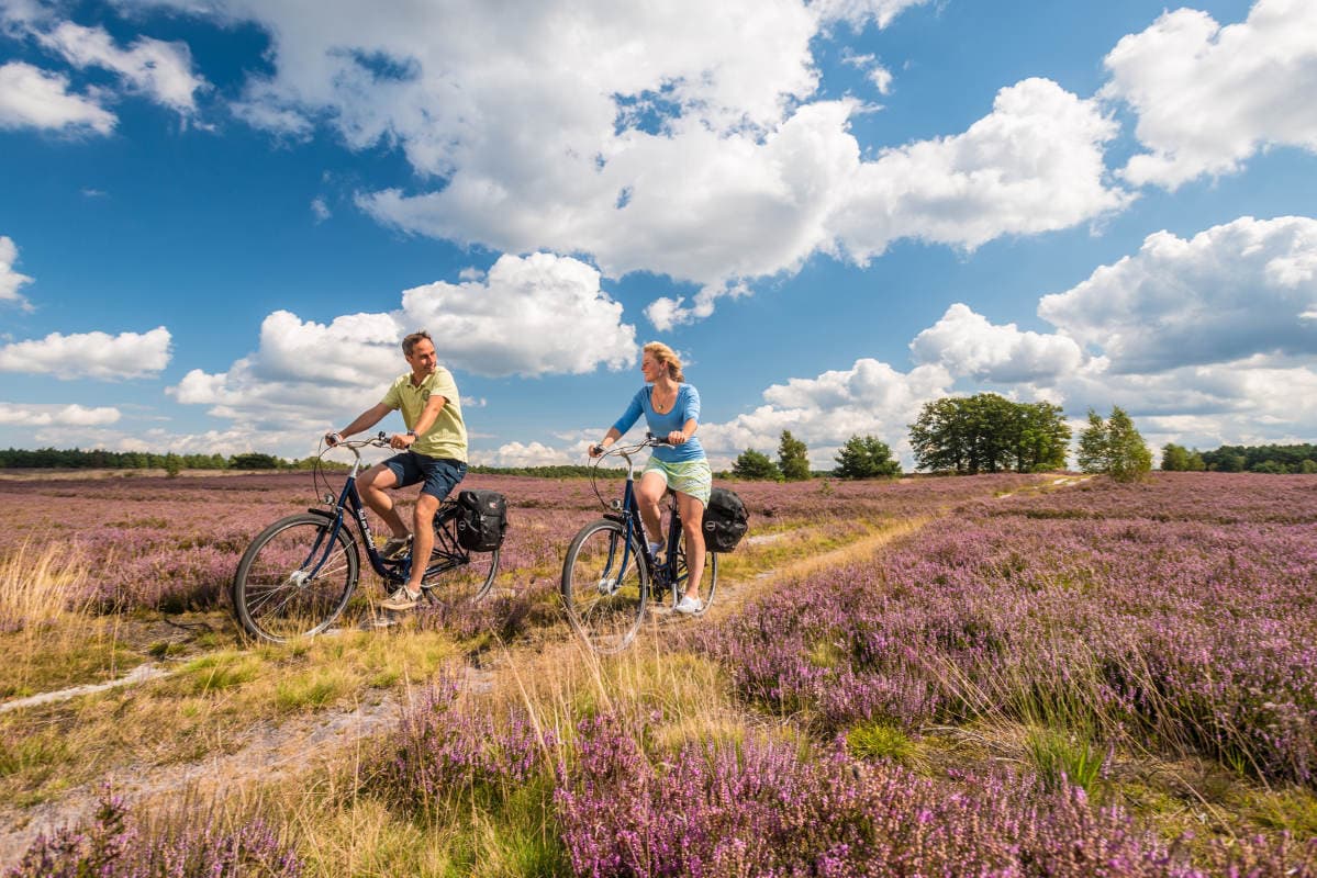 Radtouren Nordheide