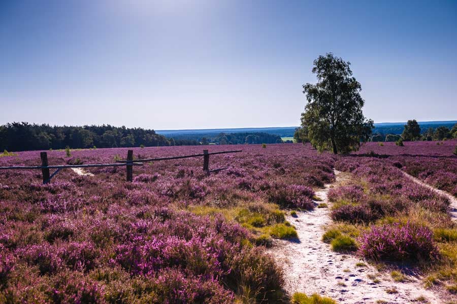 Panoramablick vom Wietzer Berg