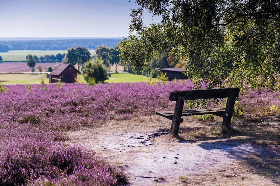 Panoramablick vom Wietzer Berg