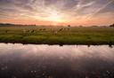 Sonnenuntergang am Heidefluss Aller bei Wietze in der Region Celle in der Lüneburger Heide 