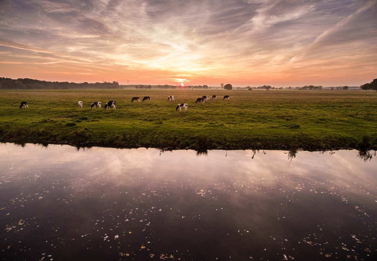 Sonnenuntergang am Heidefluss Aller
