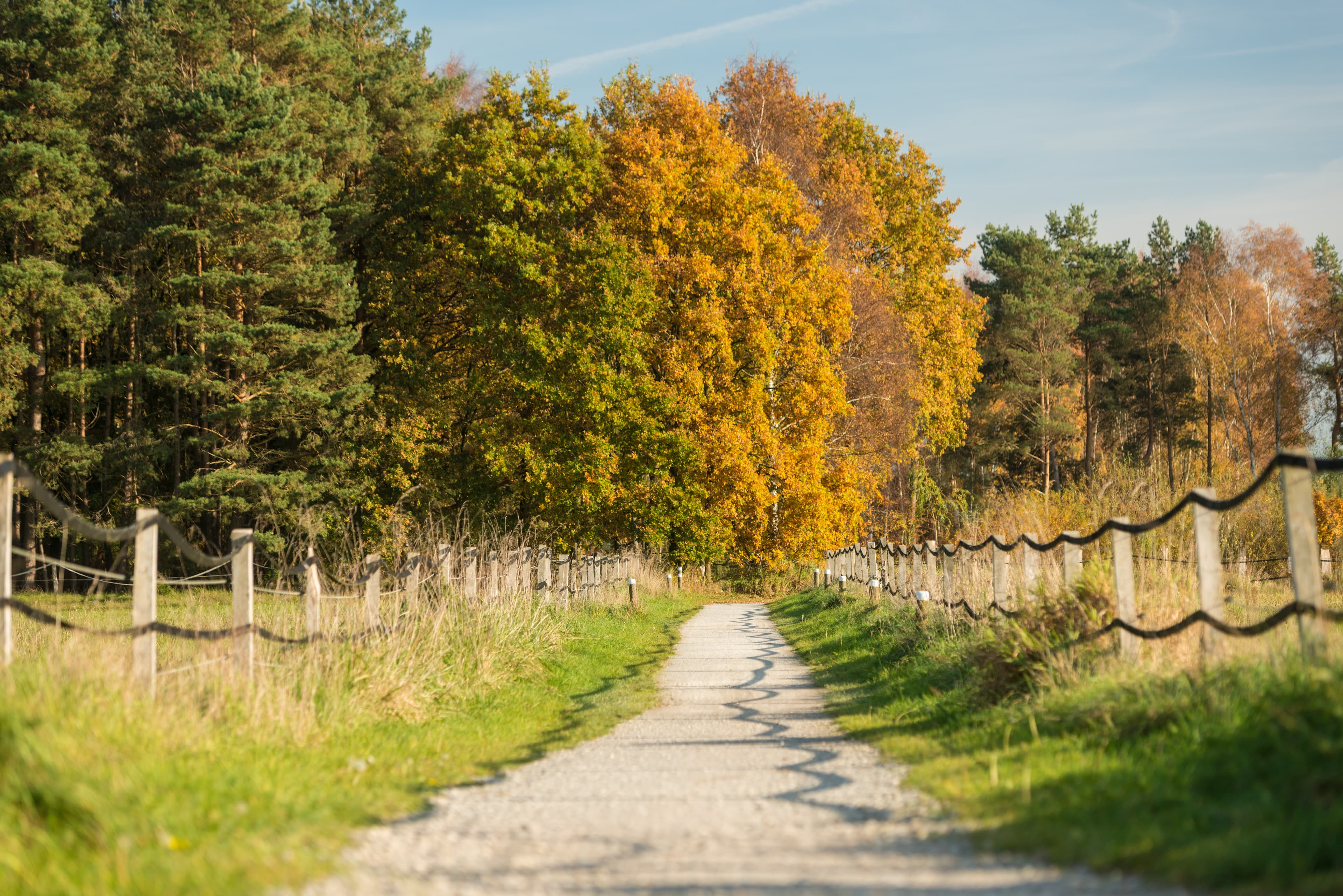 Die wunderschöne Herbstnatur