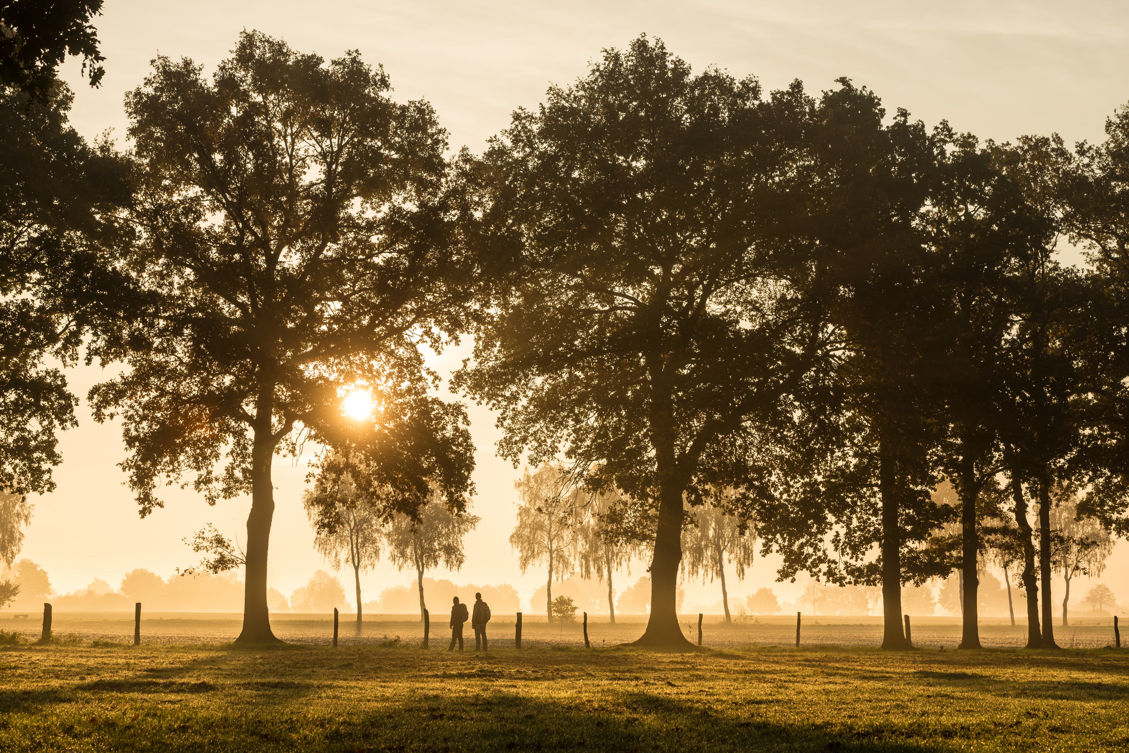 Eine herbstliche Wanderung auf dem Heidschnuckenweg