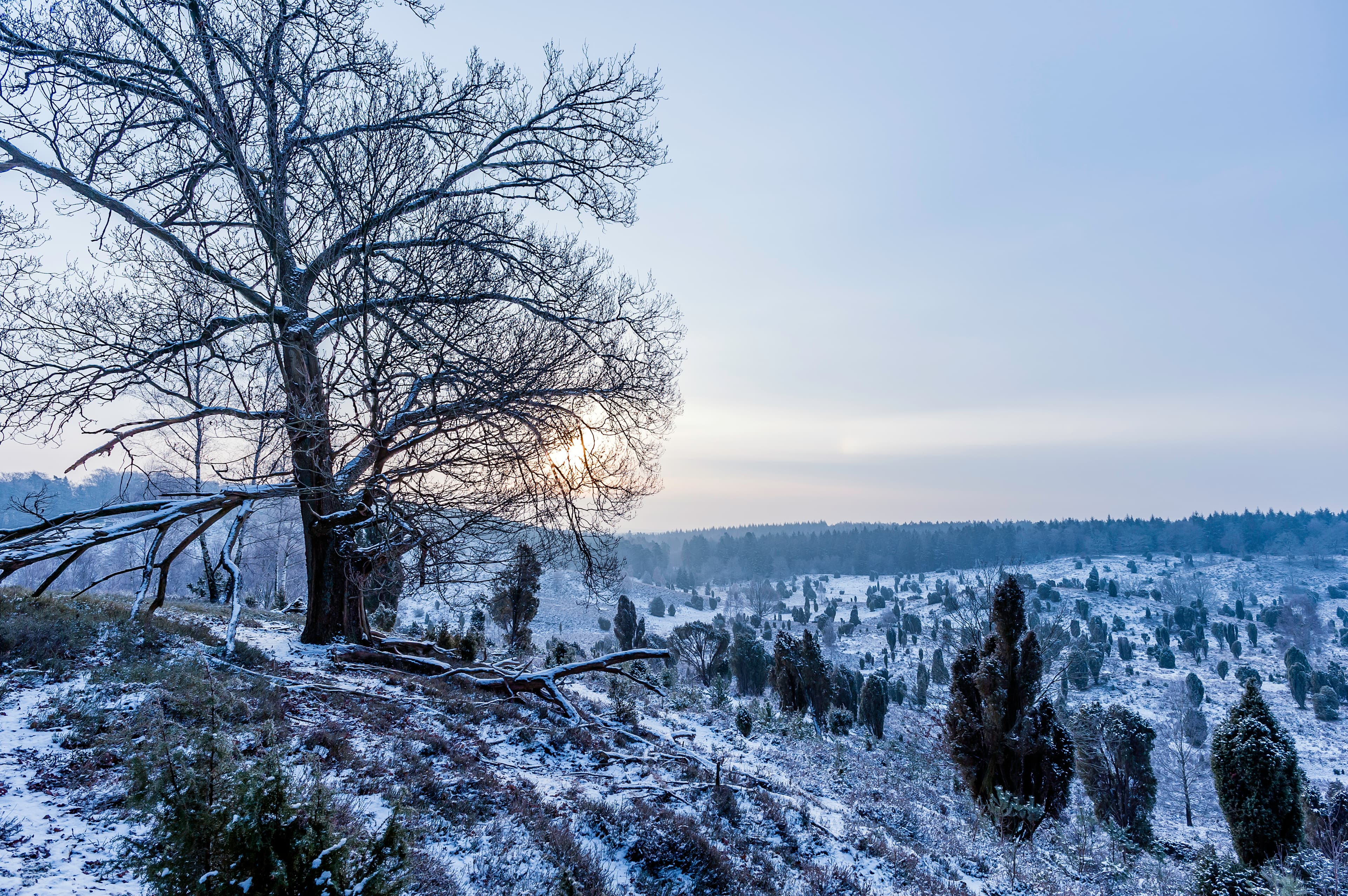 Winterstimmung im Totengrund