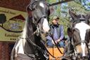 Kutscher Heins mit seinen neuen Pferden