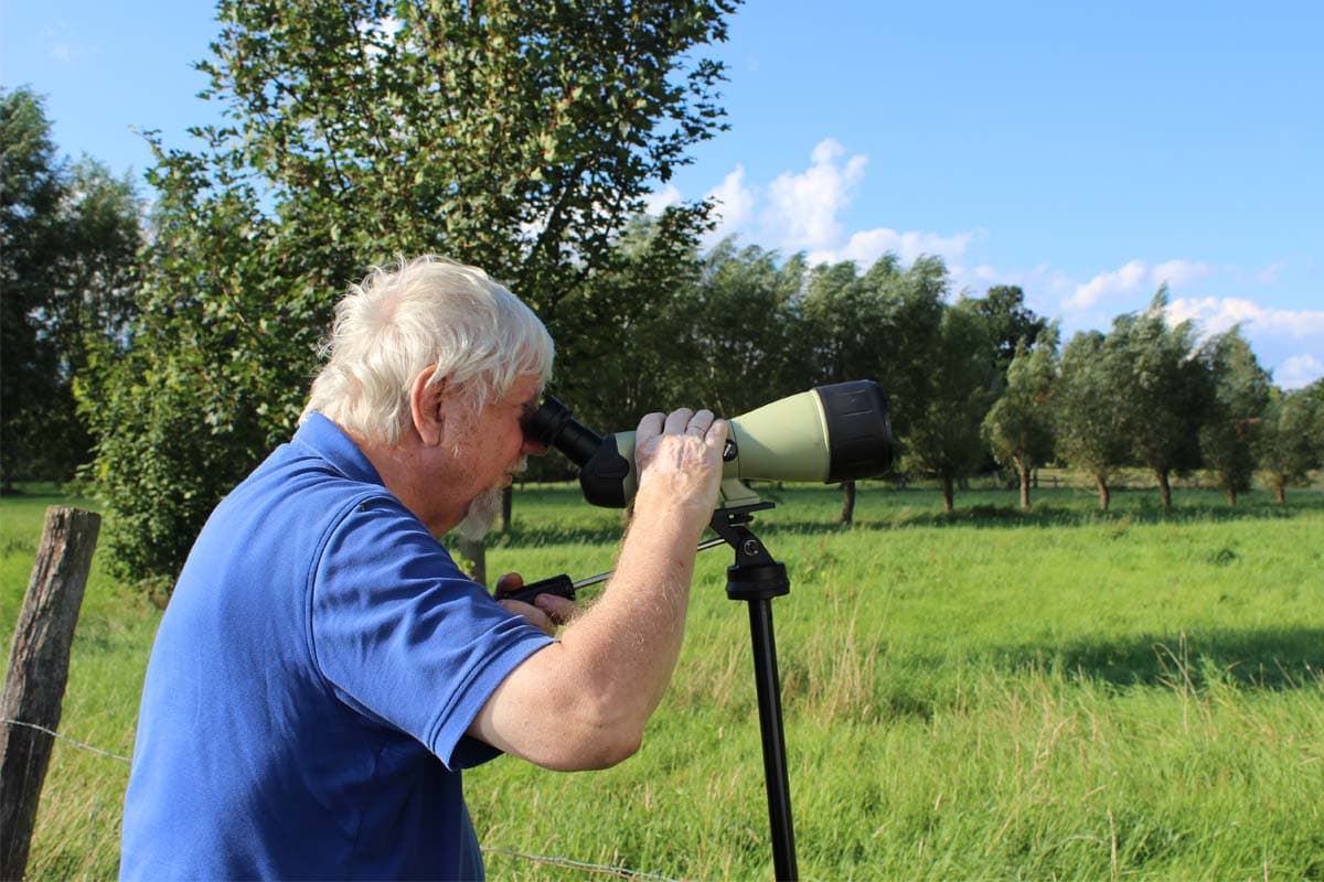Heide Insider