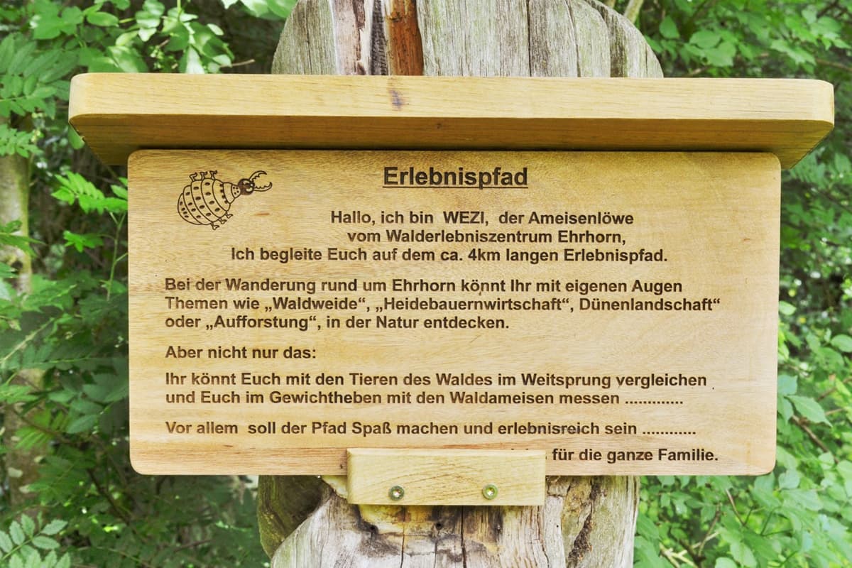 Erlebnsipfad des Walderlebniszentrums