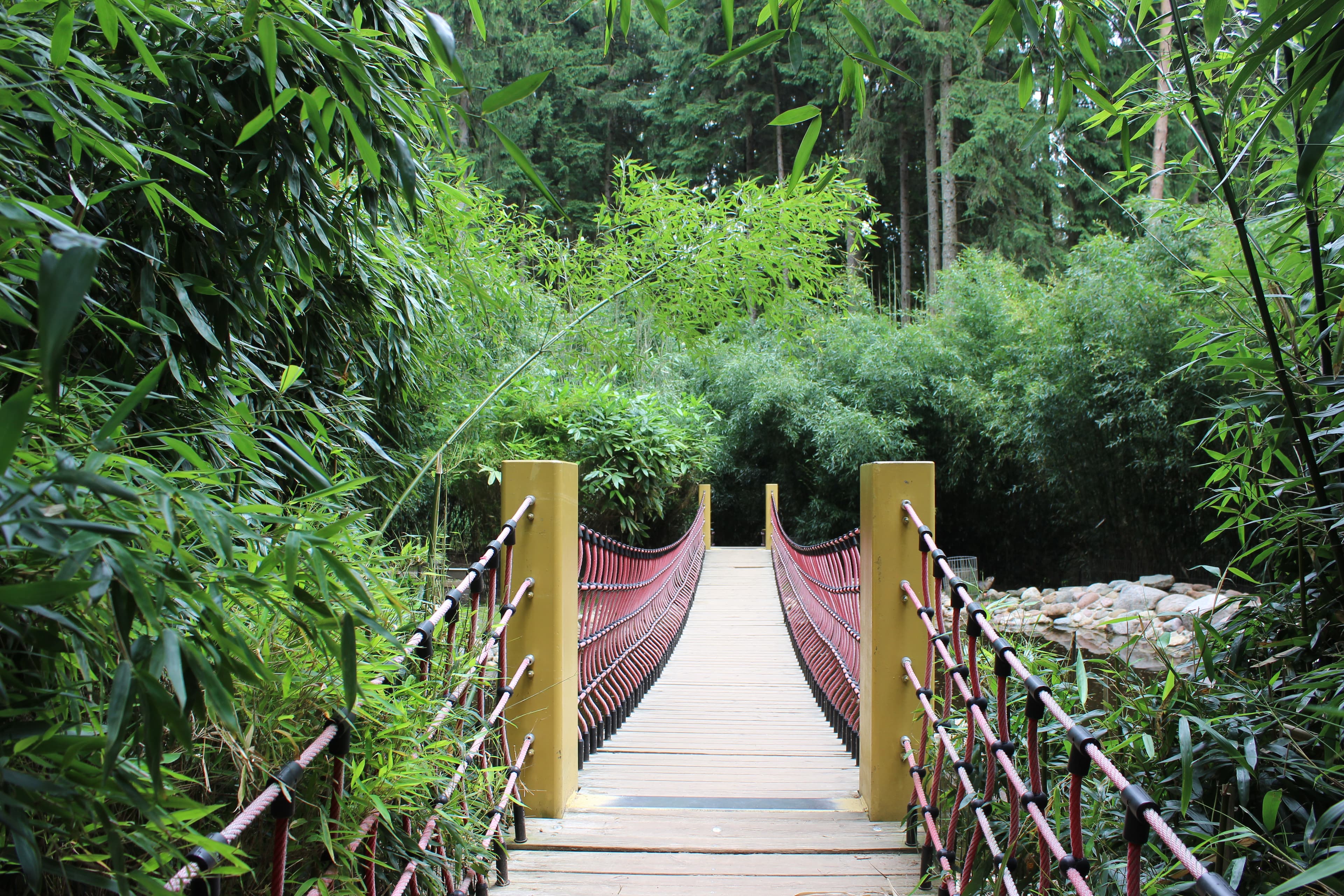 Wie im Amazonas! Es geht zu den Bibern