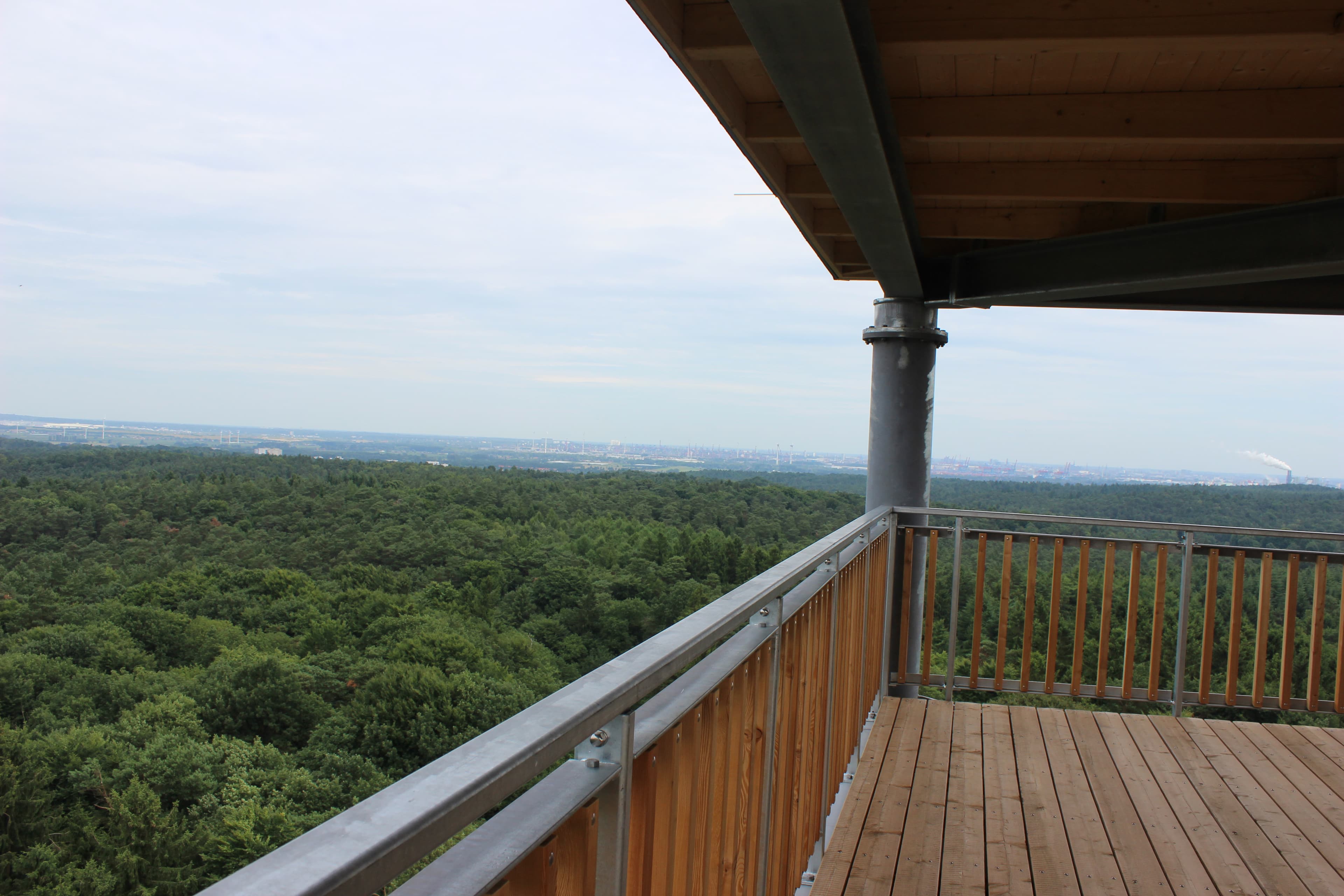 Toller Ausblick vom Elbblickturm