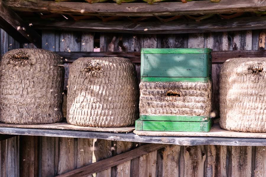 Bienenkörbe in der Lüneburger Heide