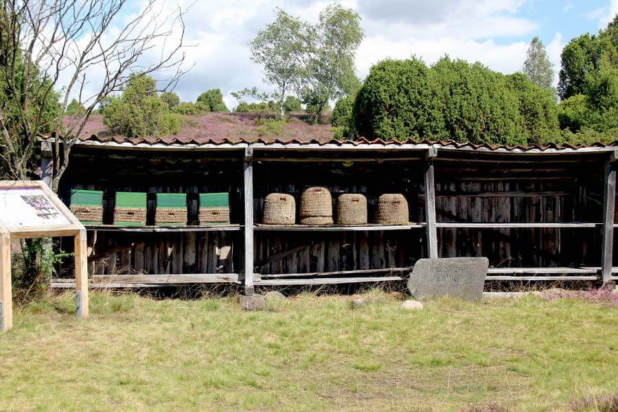 Bienenkörbe in der Ellerndorfer Wacholderheide