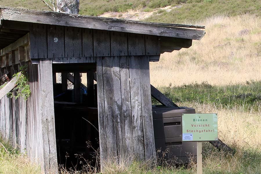 Bienen Stand in der Heide