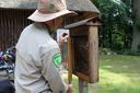 Der Heide-Ranger untersucht einen Bienenstock