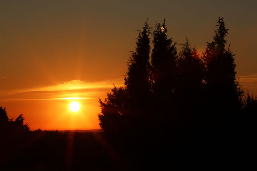 Die Stunde des Sonnenaufgangs in der Lüneburger Heide