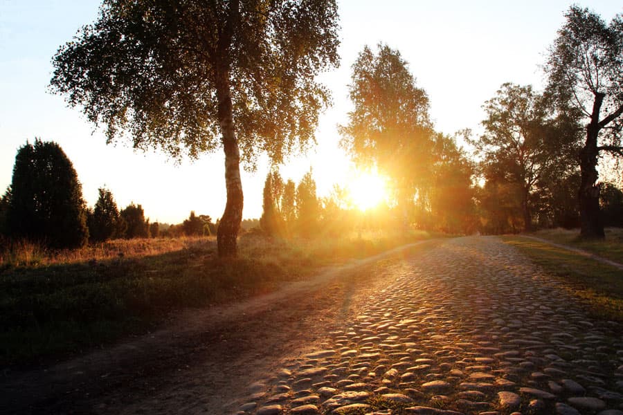 Morgens früh nach Sonnenaufgang in der Lüneburger Heide