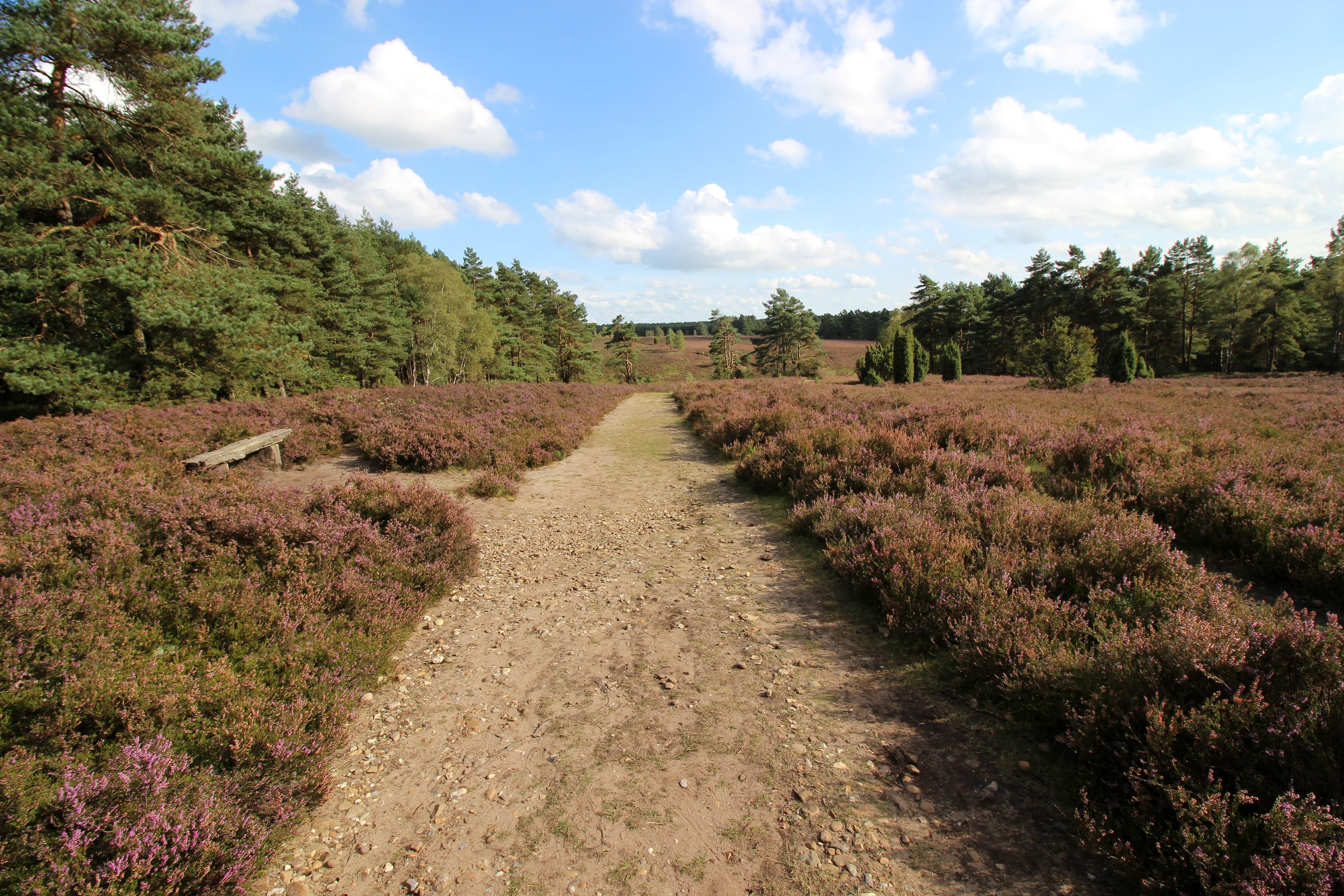 Misselhorner Heide