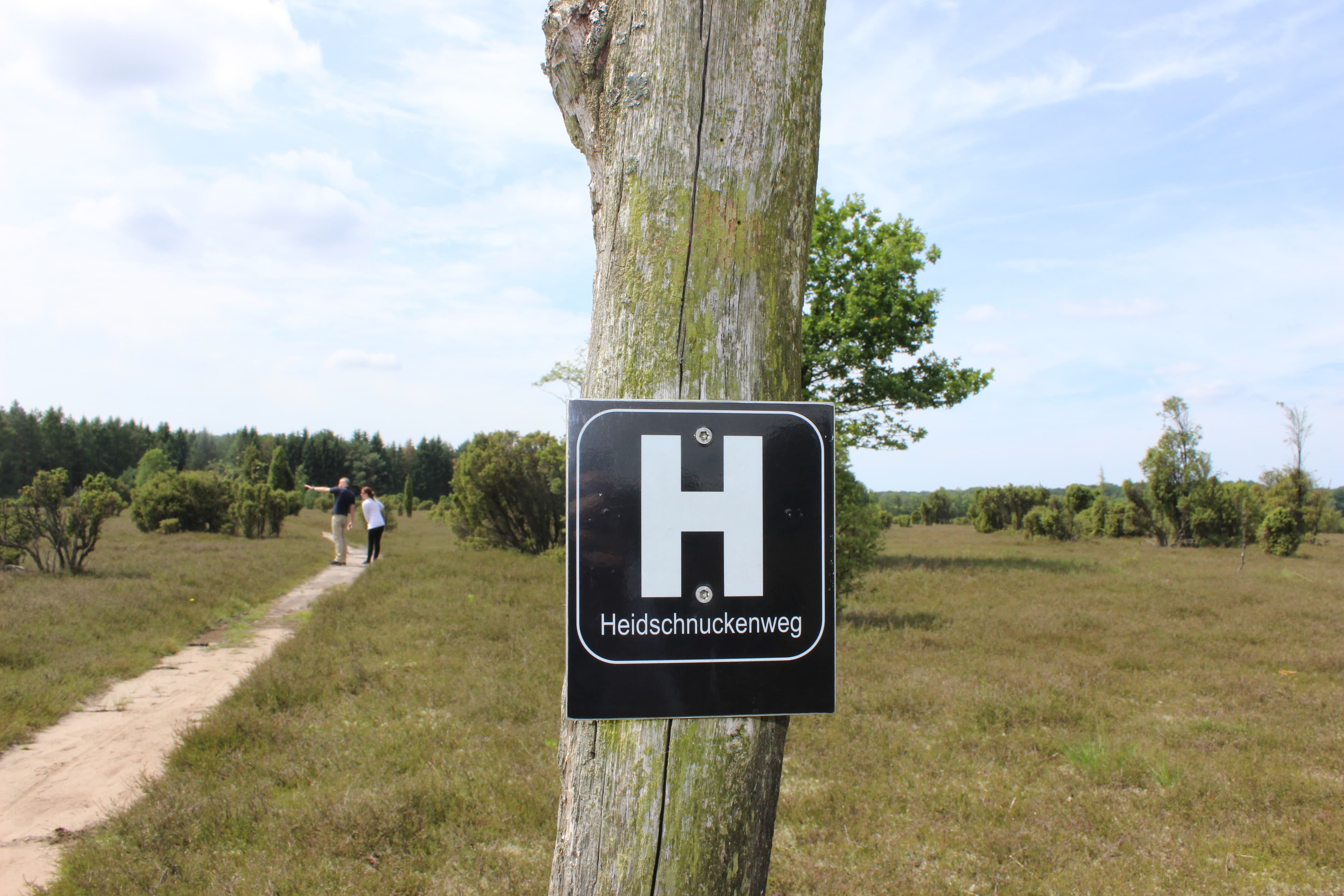 Heide Insider