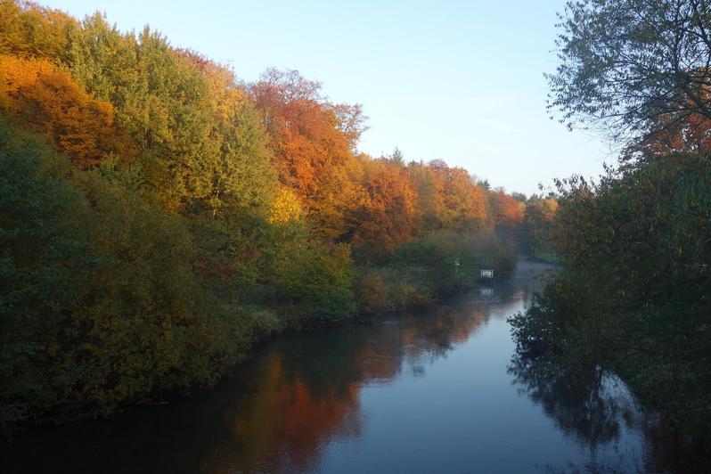 Herbst Lüneburger Heide