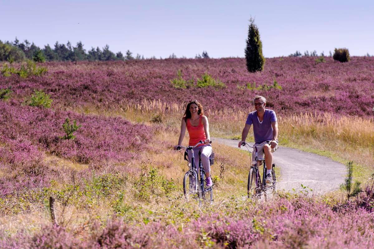 Radfahren in der Südheide