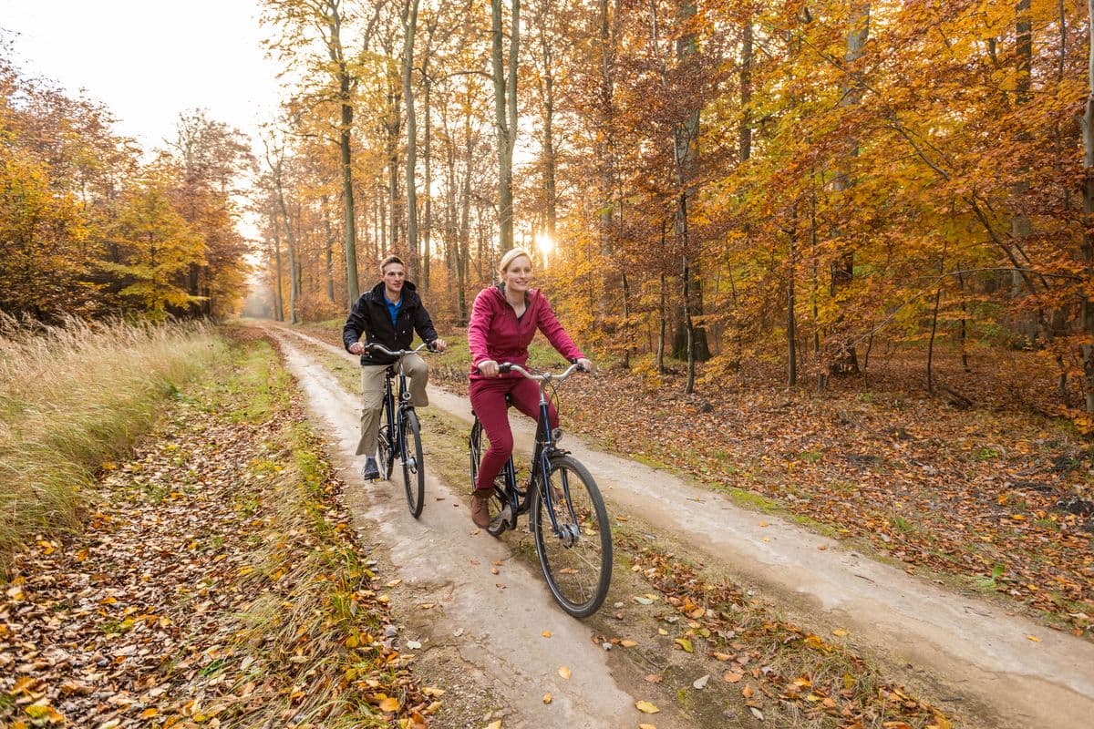 Radfahren in der Region Celle