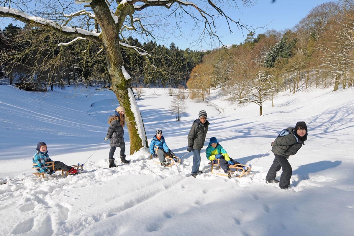 Wildpark Schwarze Berge Schlittenfahrt