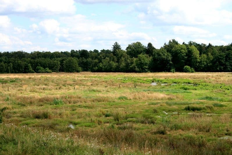 Postmoor