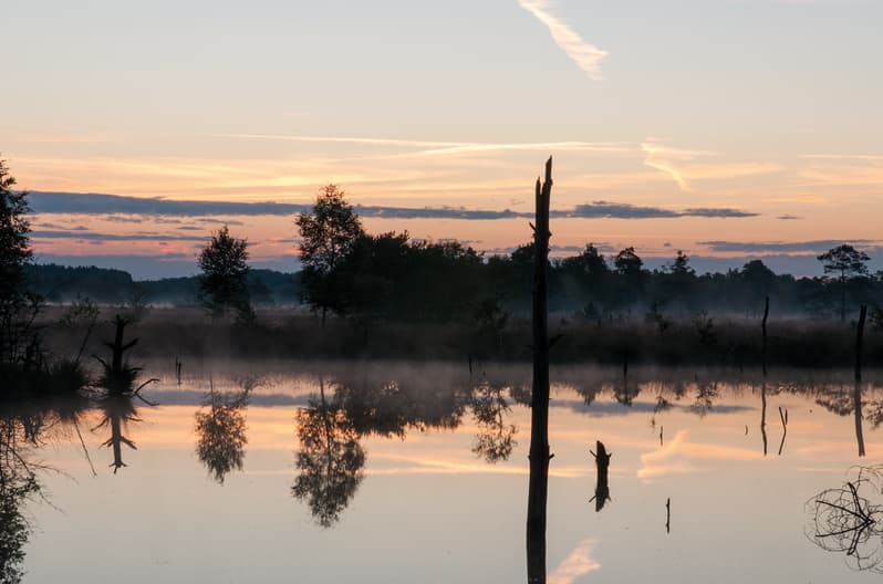 Herbststimmung am Moor