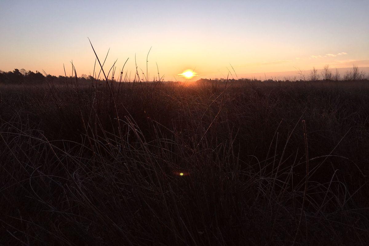 Sonnenaufgang im Becklinger Moor