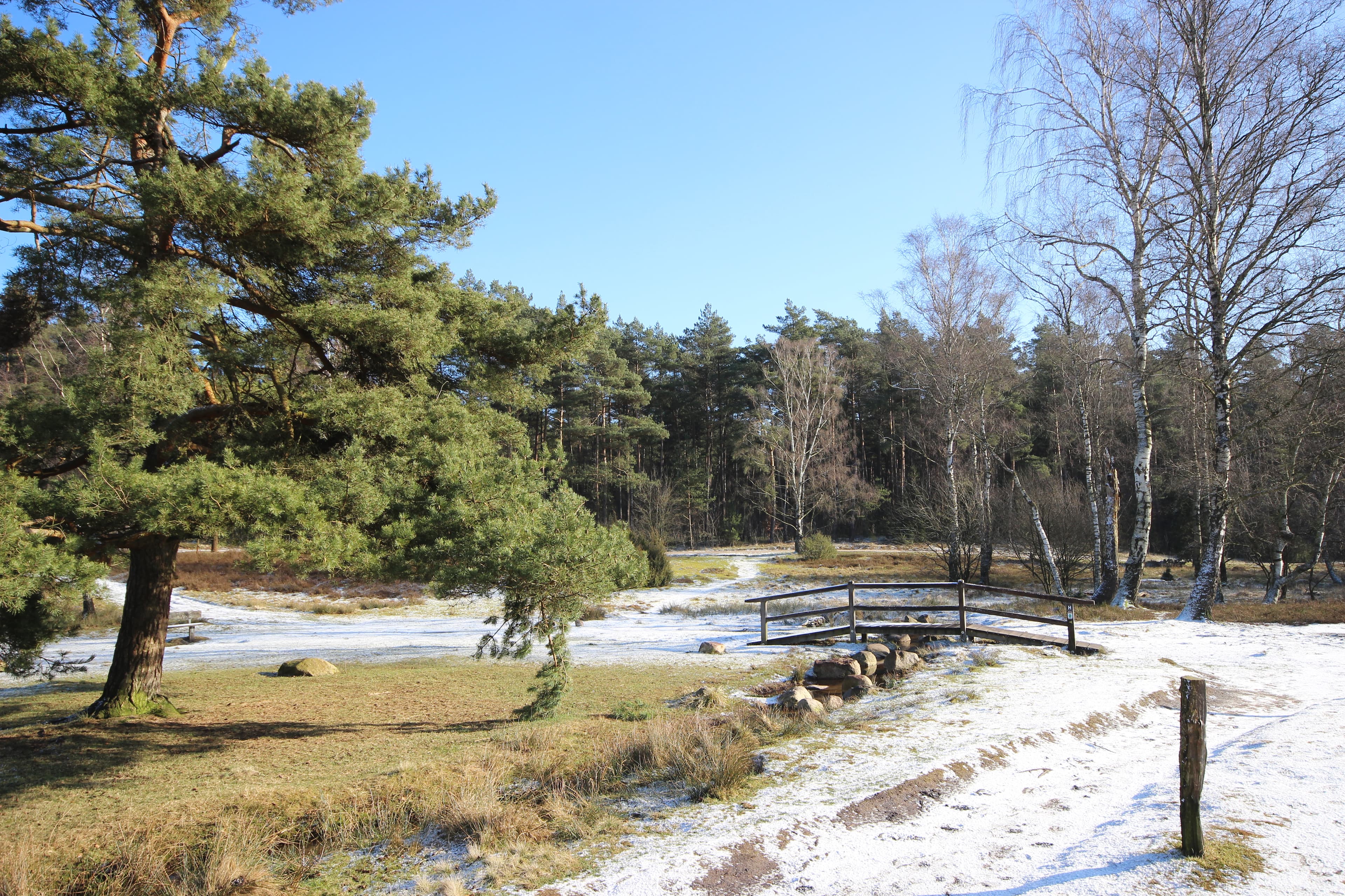 Winter in der Lüneburger Heide