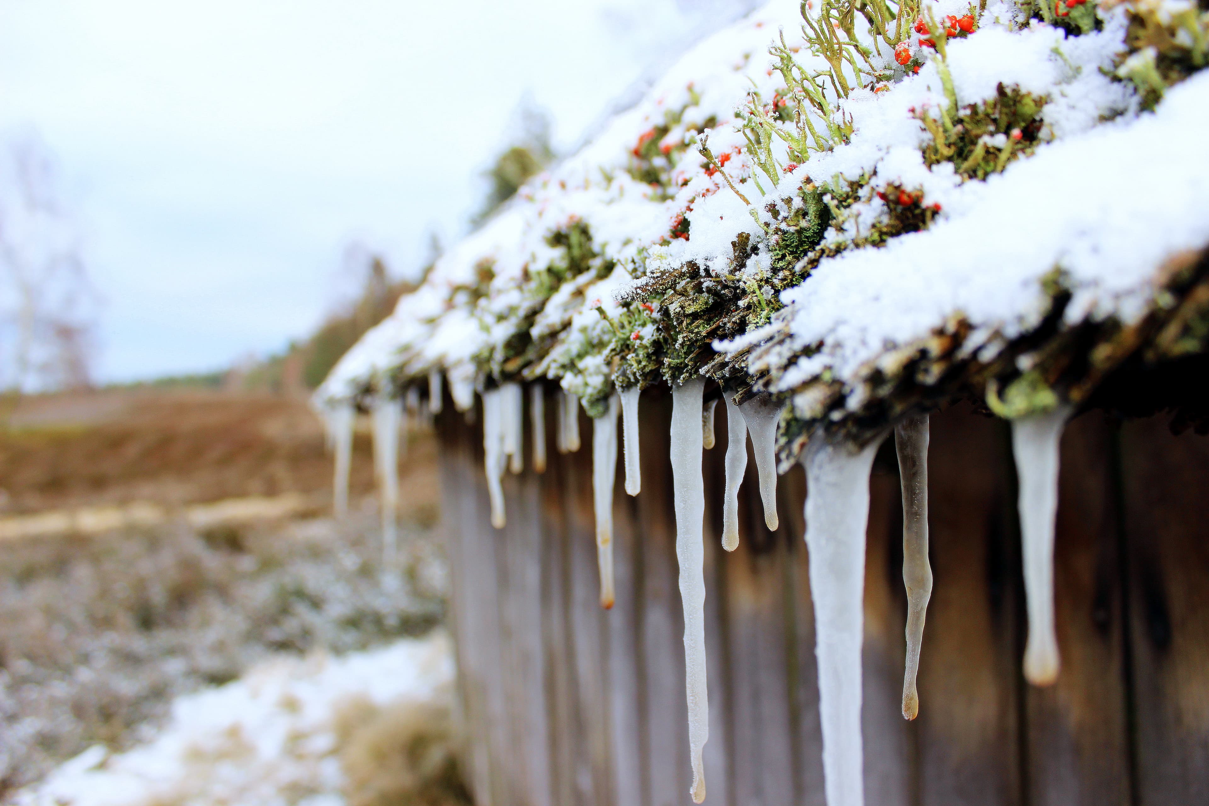 Eiszapfen am Bienenzaun