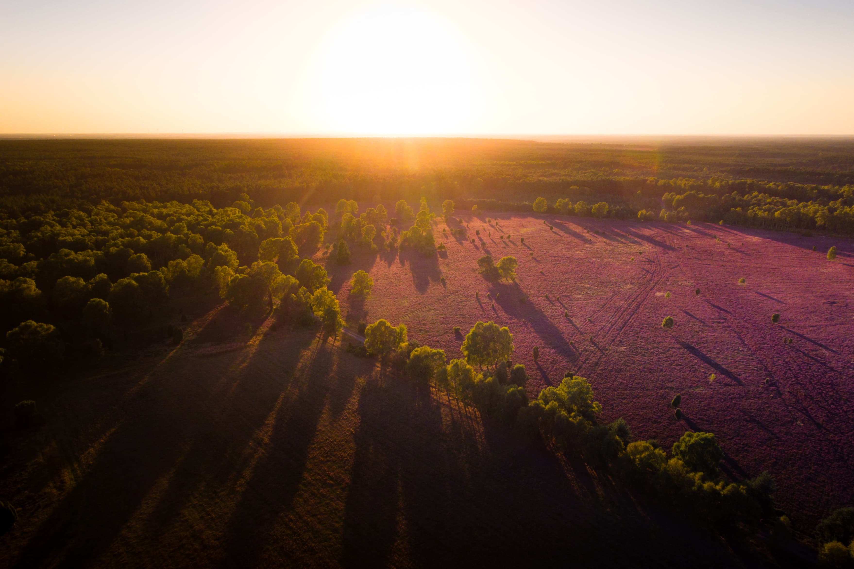 Sonnenuntergang über der Oberoher Heide