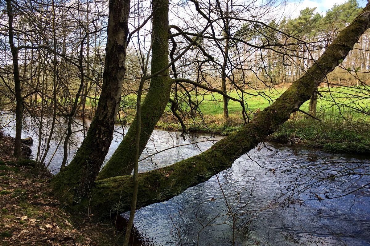Fluss-Wald-Erlebnispfad in Müden (Örtze)
